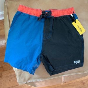 The Critical Slide Society Swim Trunks